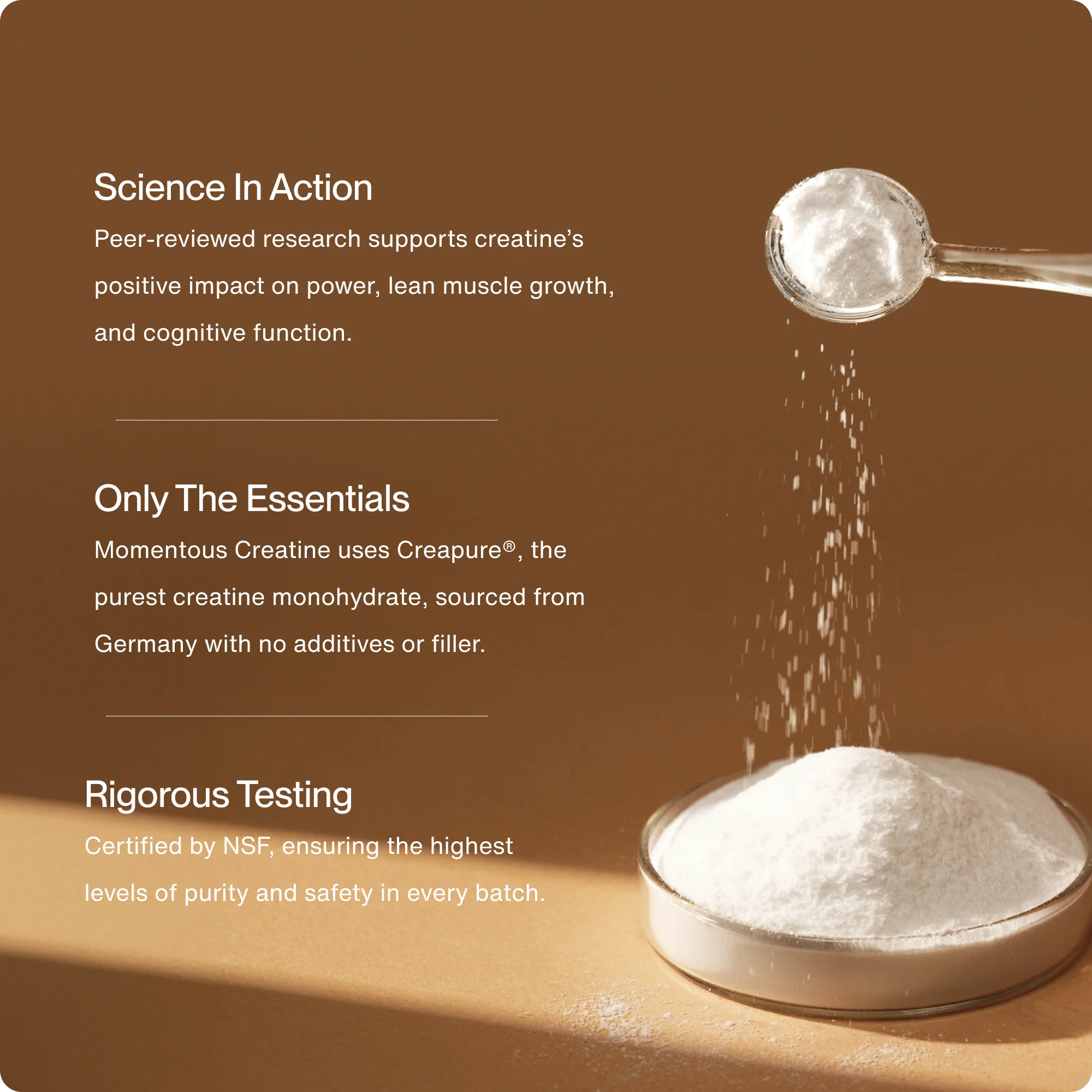 Creatine - 30 Servings - Image 2